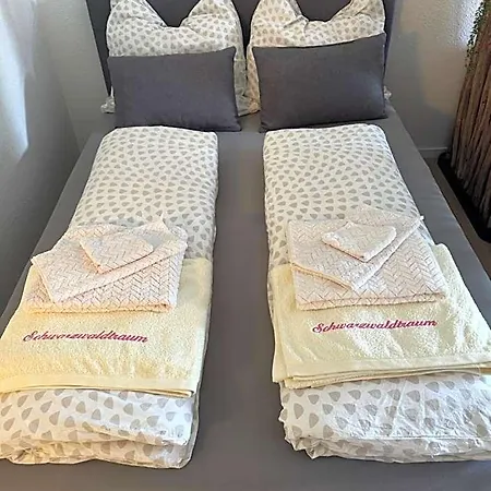 Apartment Schwarzwaldtraum Mit Baustellenpreis Ohne Balkon Aber Mit Kurtaxe!