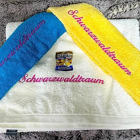 Schwarzwaldtraum Mit Baustellenpreis Ohne Balkon Aber Mit Kurtaxe! Apartment *