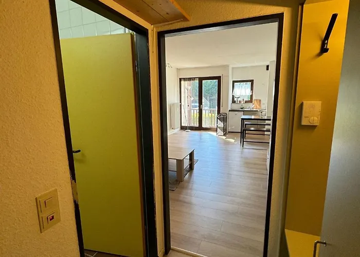 Schwarzwaldtraum Inkl Wlan Netflix Und Kurtaxe דירה באד ליבנצל